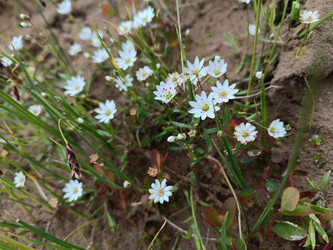 Similar image 22006204