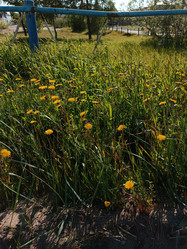 Similar image 22006205