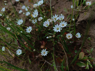 Similar image 22006206