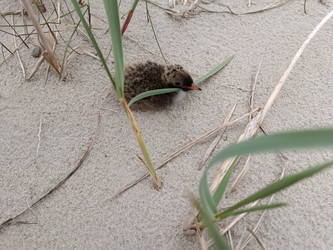 Similar image 22006218