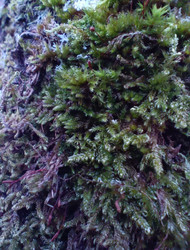 Similar image 22006219