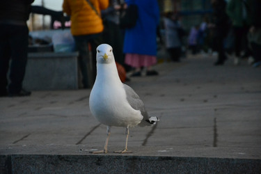 Similar image 22006221