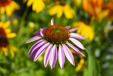 Similar image 22006033