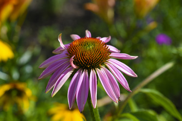 Similar image 22006034