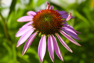 Similar image 22006035