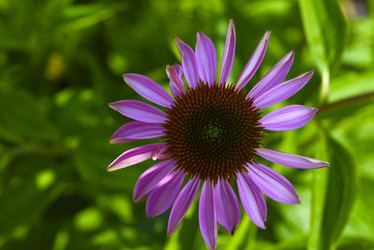 Similar image 22006036