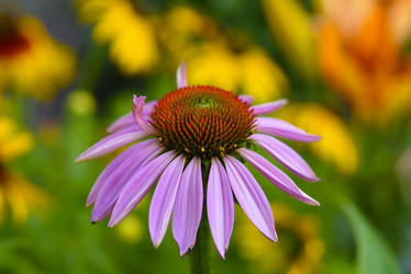 Similar image 22006037