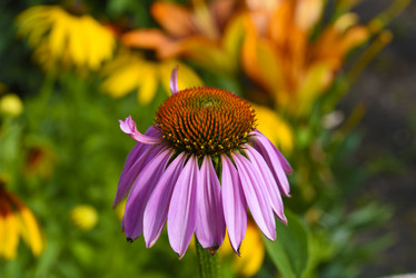 Similar image 22006038