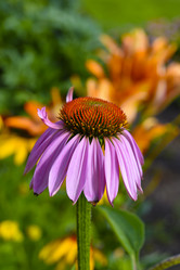 Similar image 22006039