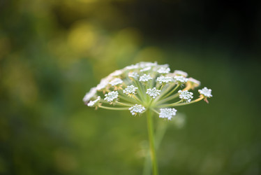 Similar image 22006041