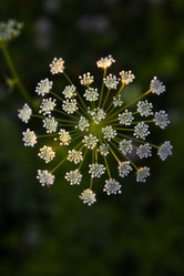 Similar image 22006042