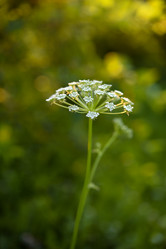 Similar image 22006043