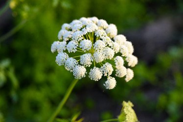 Similar image 22006045