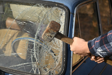 Similar image 22003696