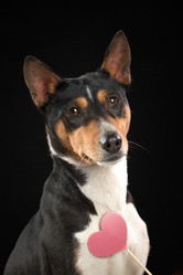 Similar image 22003698