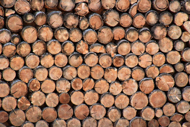 Similar image 22006051