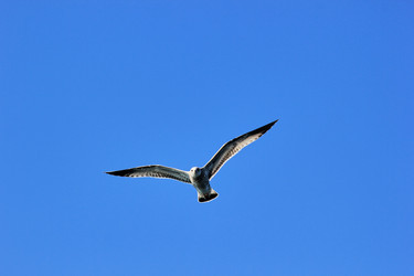 Similar image 22006056