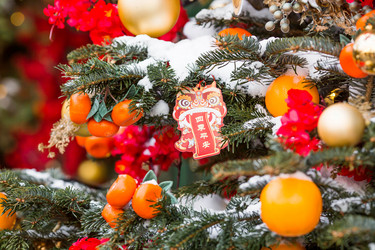 Similar image 22006348