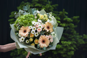 Similar image 22017097