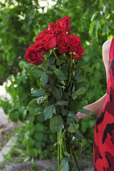 Similar image 22017197