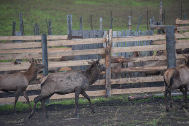 Similar image 22017353