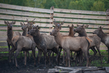 Similar image 22017356