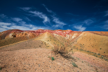 Similar image 22016804