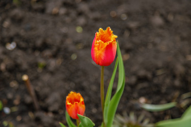 Similar image 22009501