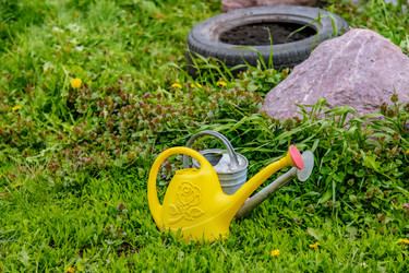 Similar image 22009502