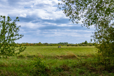 Similar image 22009506