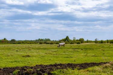 Similar image 22009508