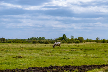 Similar image 22009510