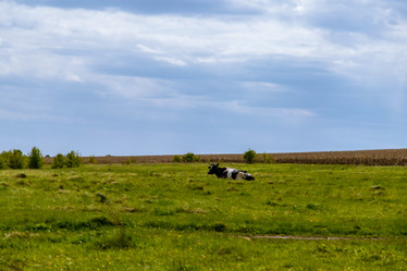 Similar image 22009512