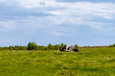 Similar image 22009519