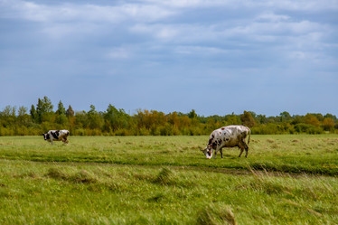 Similar image 22013576