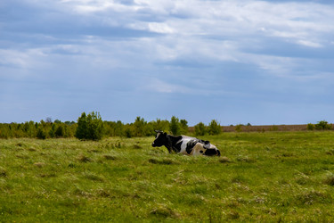 Similar image 22013578