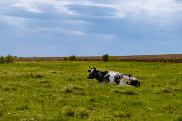 Similar image 22013580