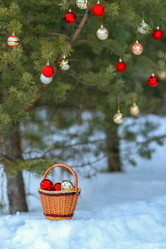 Similar image 22013581