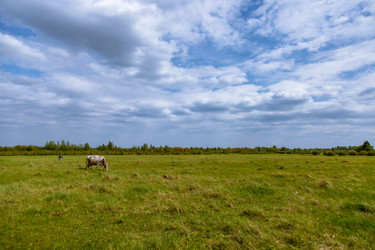 Similar image 22013582