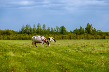 Similar image 22013584