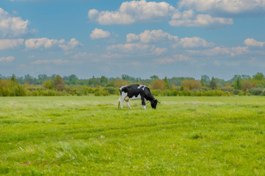 Similar image 22013608