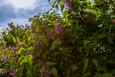 Similar image 22013613