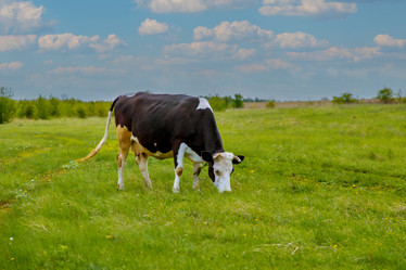 Similar image 22013614