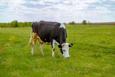 Similar image 22013616