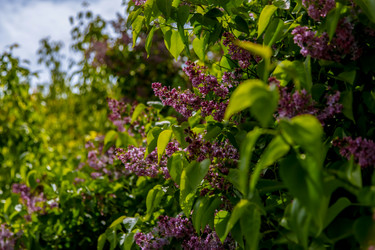 Similar image 22013617