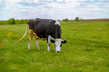 Similar image 22013618