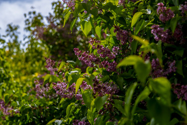 Similar image 22013619