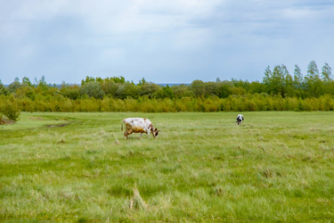 Similar image 22013620