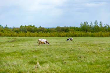 Similar image 22013622