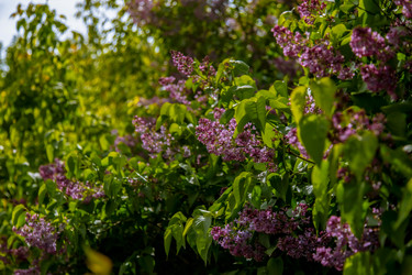 Similar image 22013623